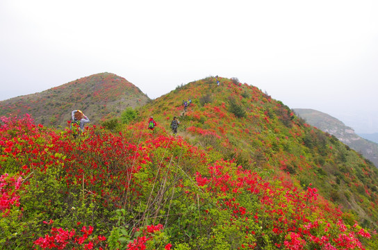 上堡山