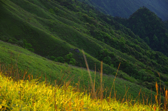 武功山