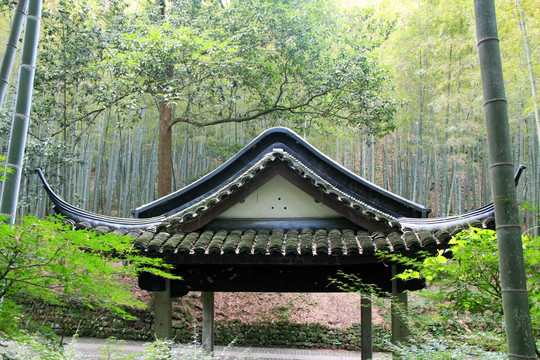 竹林 亭子