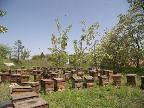 蜜蜂箱 蜂农