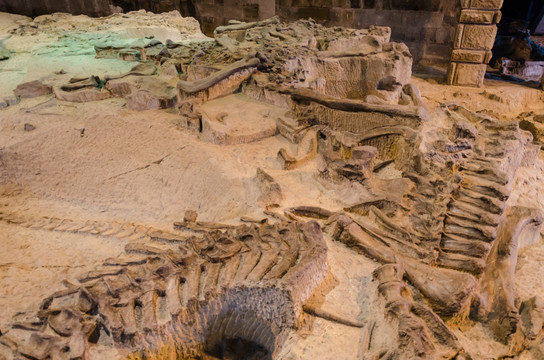 自贡恐龙化石遗址