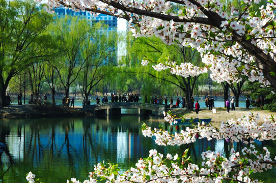 春天的北京