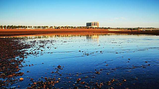 尼尔基风格光