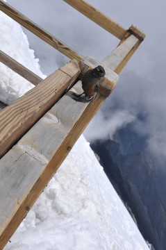 雪山