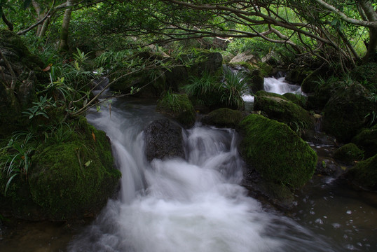 清泉溪流