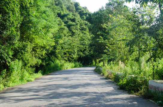 林荫公路