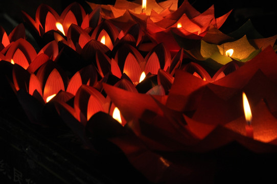 莲花灯