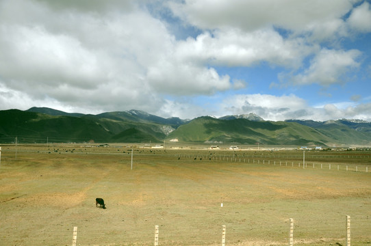香格里拉
