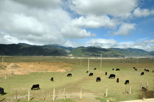 香格里拉