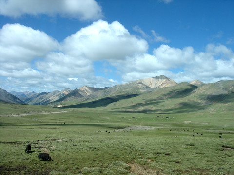 西藏大草原