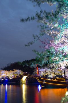 无锡鼋头渚 夜景