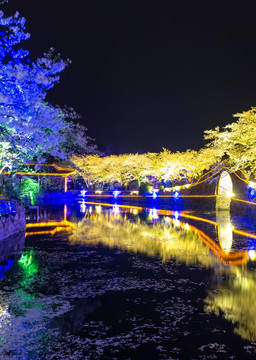 无锡鼋头渚 夜景