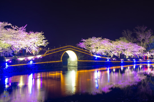 无锡鼋头渚 夜景