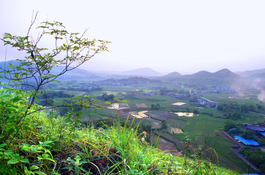 乡野风景