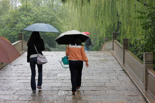 雨中的大明湖