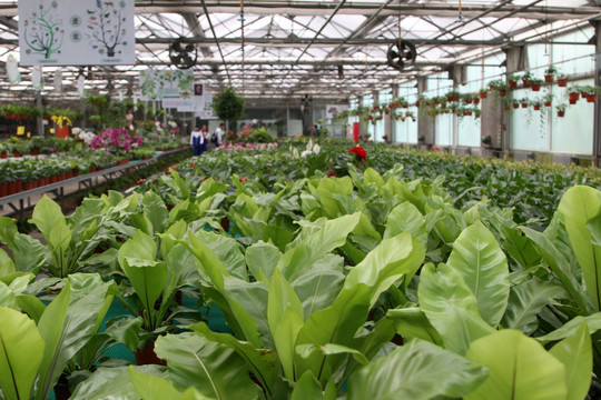 植物园温室