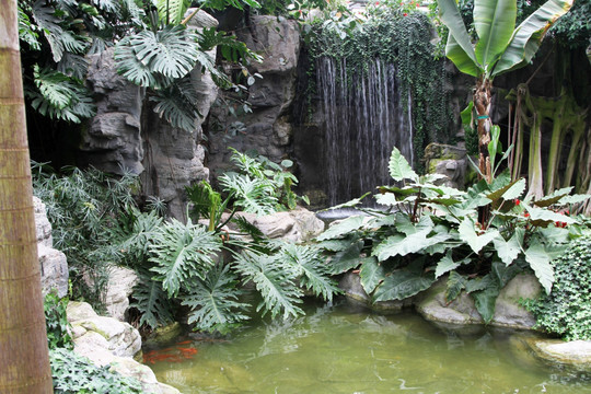 热带雨林温室