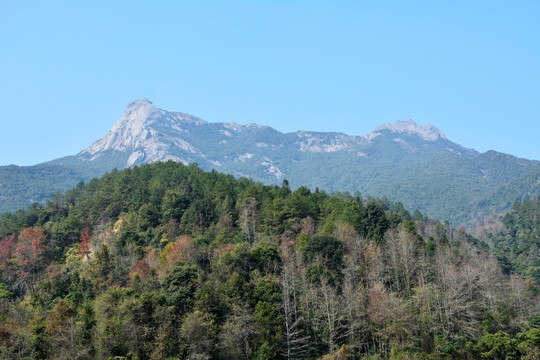 山野