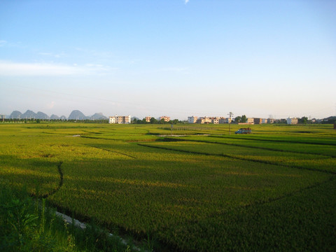 临桂田园