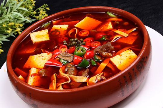 牛腩烩豆腐