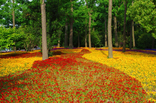 树林鲜花