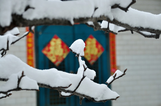 雪景