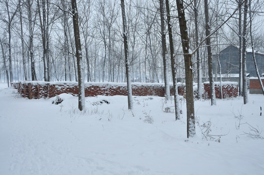 雪景