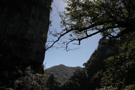 高山 山峰 柴埠溪大峡谷 景