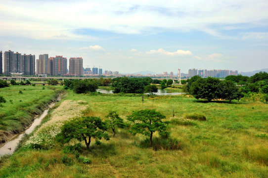 城市的草原