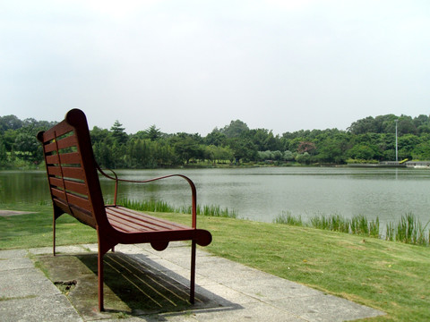 湖畔休闲椅草地天空