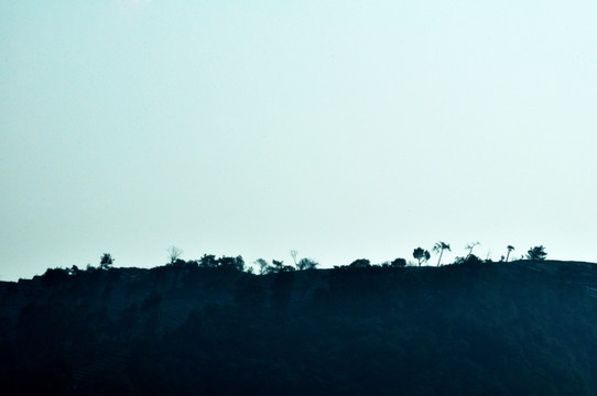 龙井村