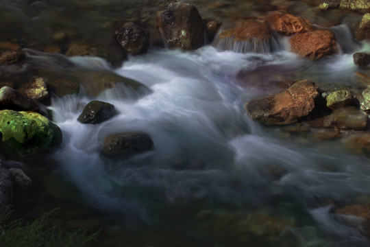 流水 溪流 小河 河流 苔藓