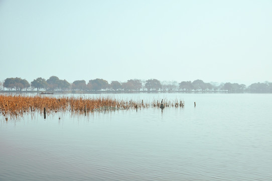 西湖