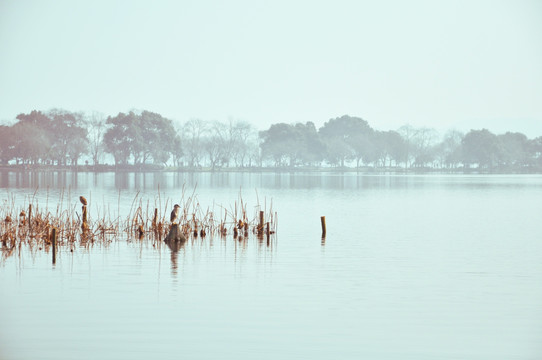 西湖
