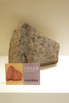 十字石片岩标本