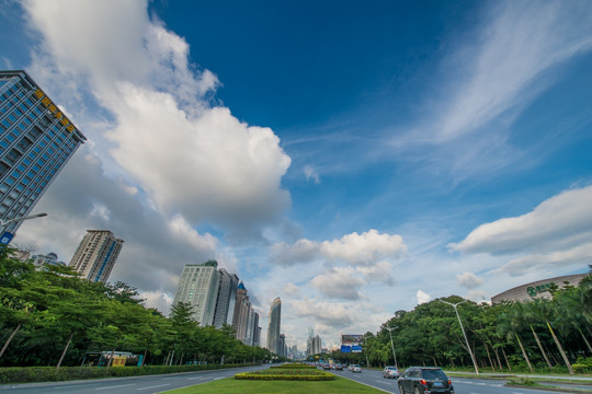 深圳 深南大道 竹子林