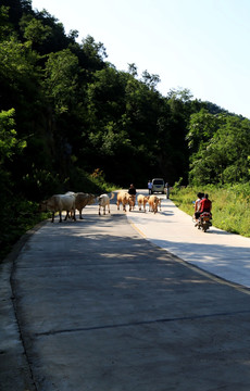 乡村公路