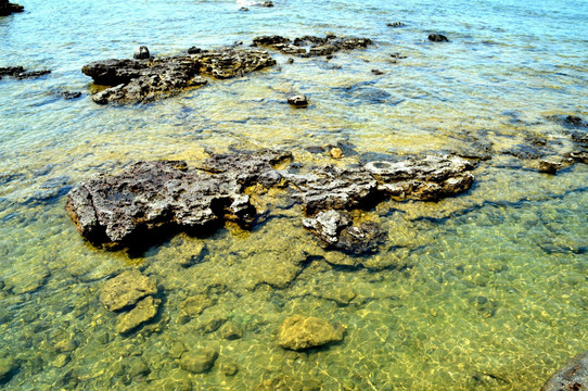 海岛 礁石