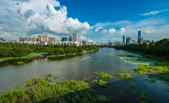 深圳洪湖公园 京基100 地王