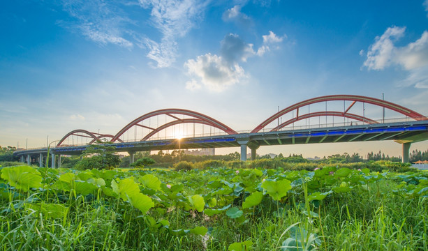 深圳 芙蓉桥