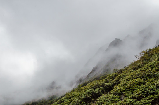 木格措风景区 康定情歌风景区