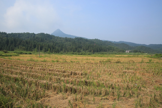 田园风光