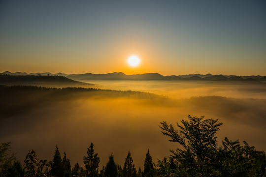 家乡美 雾景