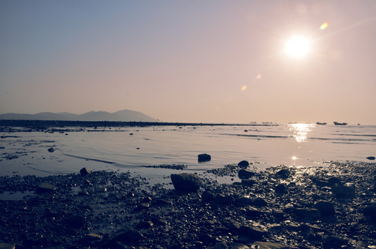 大海