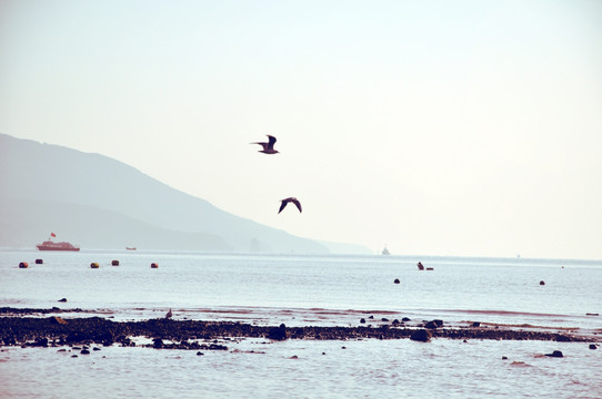 大海