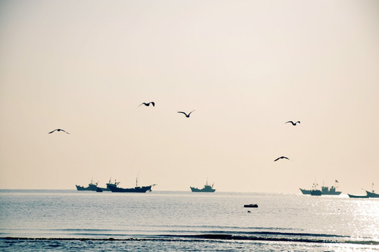 大海