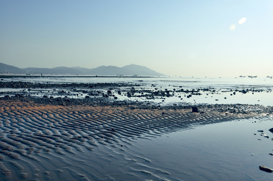 大海