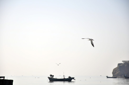 大海