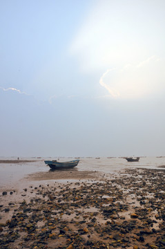 大海