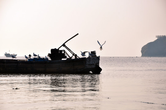大海